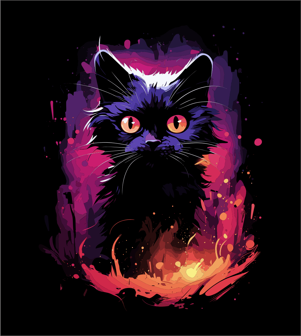 Black Cat 1